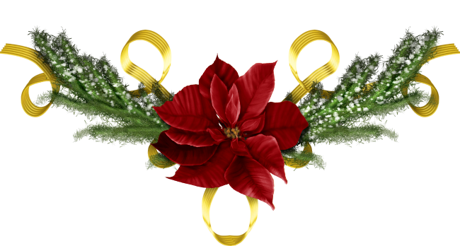 christmas-flower
